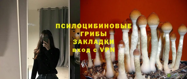 гашик Арсеньев