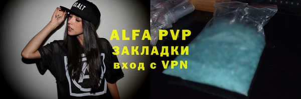 эйфоретик Богданович