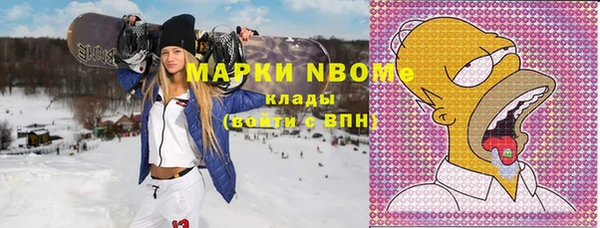 мдпв Богородицк