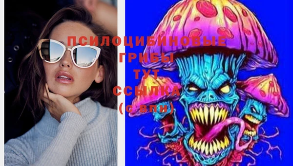 стафф Аркадак