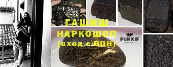 мдпв Богородицк