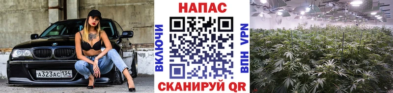 OMG маркетплейс  Спасск-Дальний  Марихуана THC 21%  где купить наркоту 